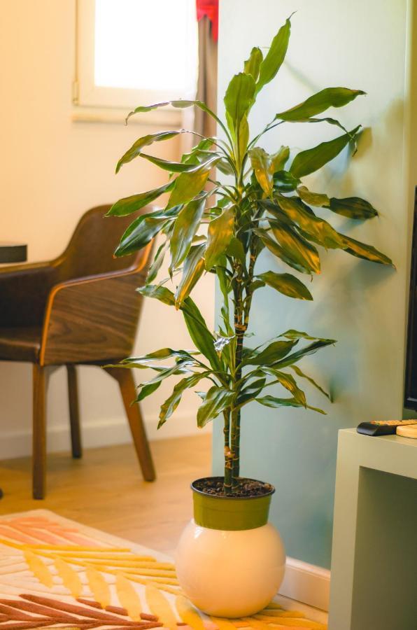 Bright Apartment Close To City Center Tiranë Luaran gambar